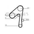 Ремень CONTITECH CT786