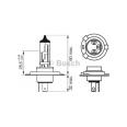 Лампа накаливания BOSCH 1 987 302 049