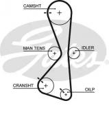 Ремень GATES 5609XS Ремень GATES 5609XS