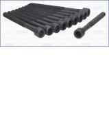 Комплект болтов AJUSA 81035700 Комплект болтов AJUSA 81035700