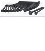 Комплект болтов AJUSA 81043800 Комплект болтов AJUSA 81043800