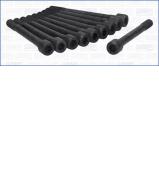 Комплект болтов AJUSA 81029900 Комплект болтов AJUSA 81029900