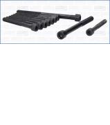 Комплект болтов AJUSA 81020800 Комплект болтов AJUSA 81020800