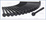 Комплект болтов AJUSA 81012800 Комплект болтов AJUSA 81012800