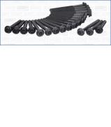 Комплект болтов AJUSA 81006500 Комплект болтов AJUSA 81006500