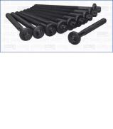 Комплект болтов AJUSA 81022300 Комплект болтов AJUSA 81022300